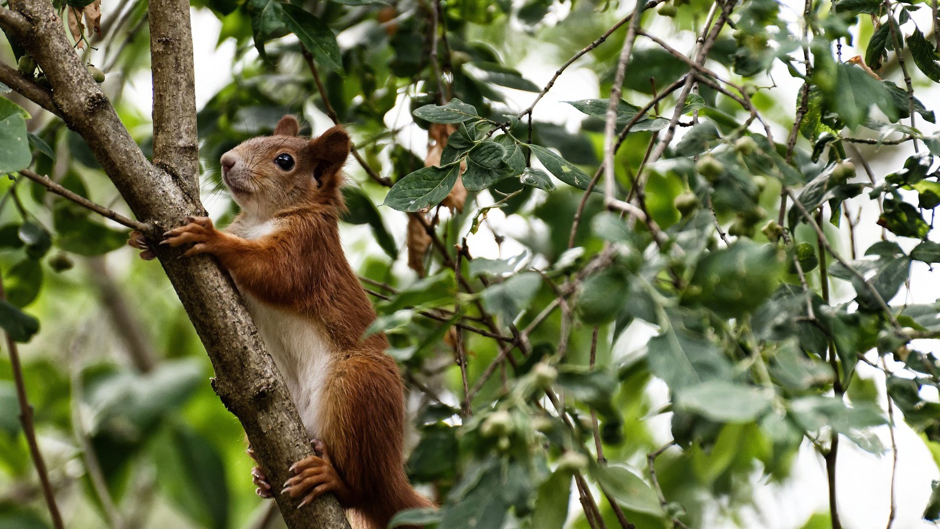 体育明星代言引发品牌热议,体育代言排名