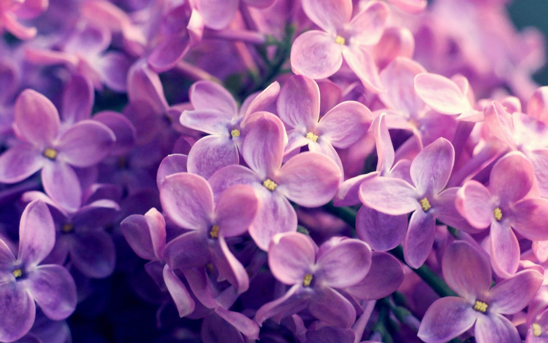 俱乐部缺乏青年球员激励机制，足球青年人俱乐部